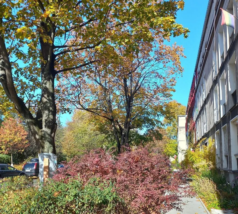 Apartament Kawalerka na Starym Żoliborzu Warszawa